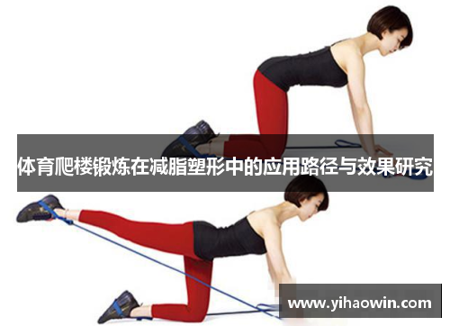 体育爬楼锻炼在减脂塑形中的应用路径与效果研究